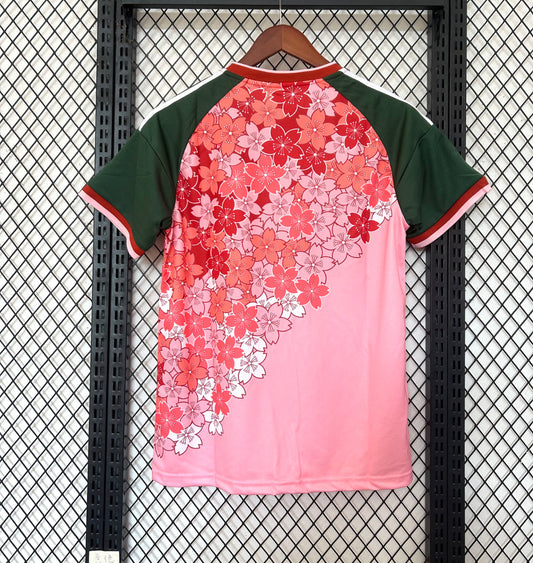 2025/26 Japan