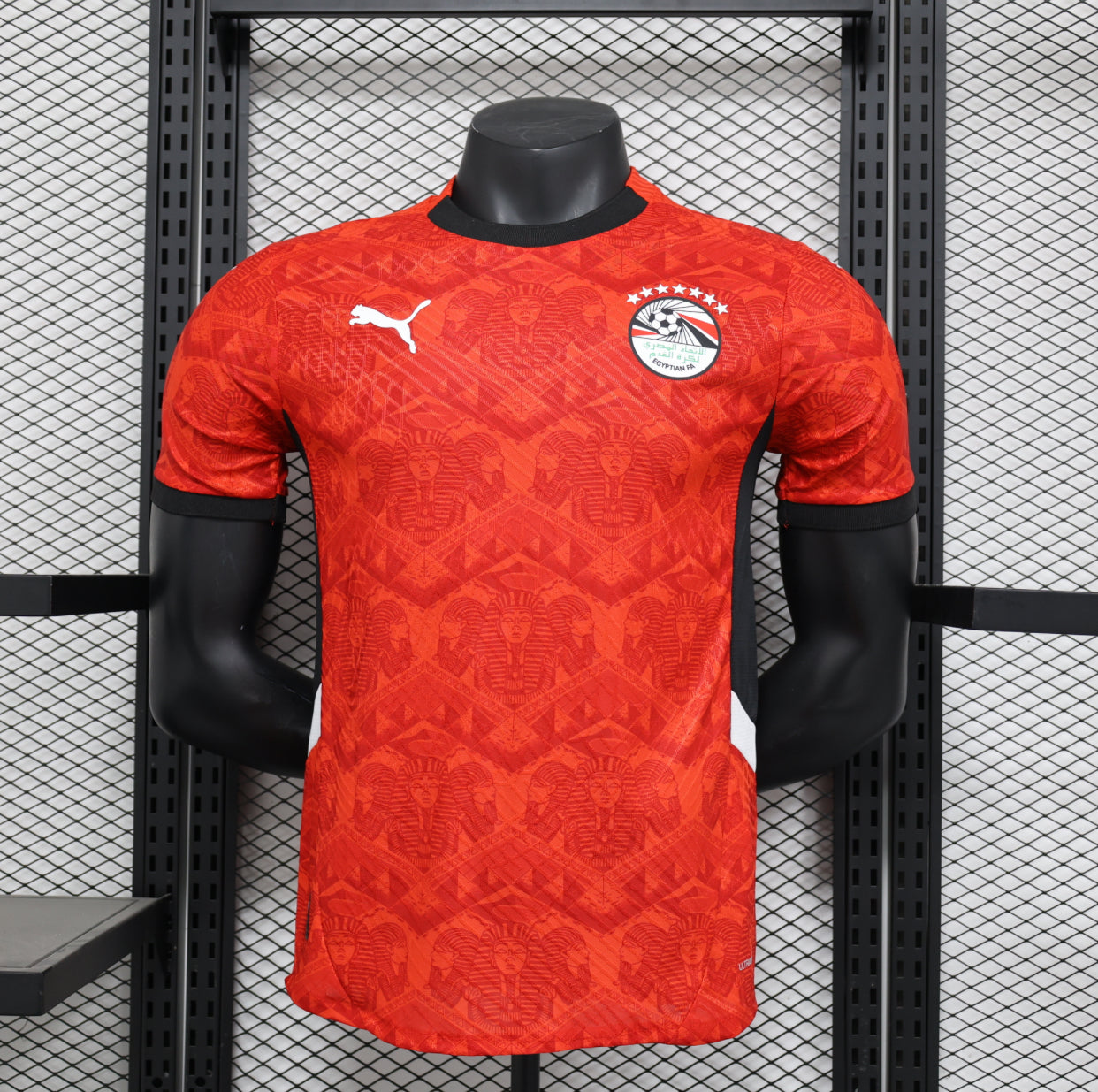 2025/26 Egypt (Player Version)