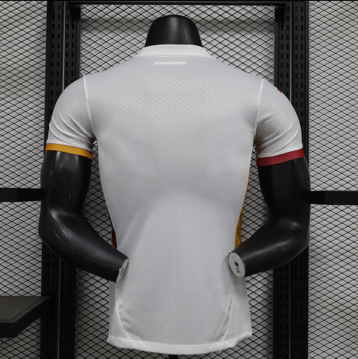 2024/25 Galatasaray (Version Player)