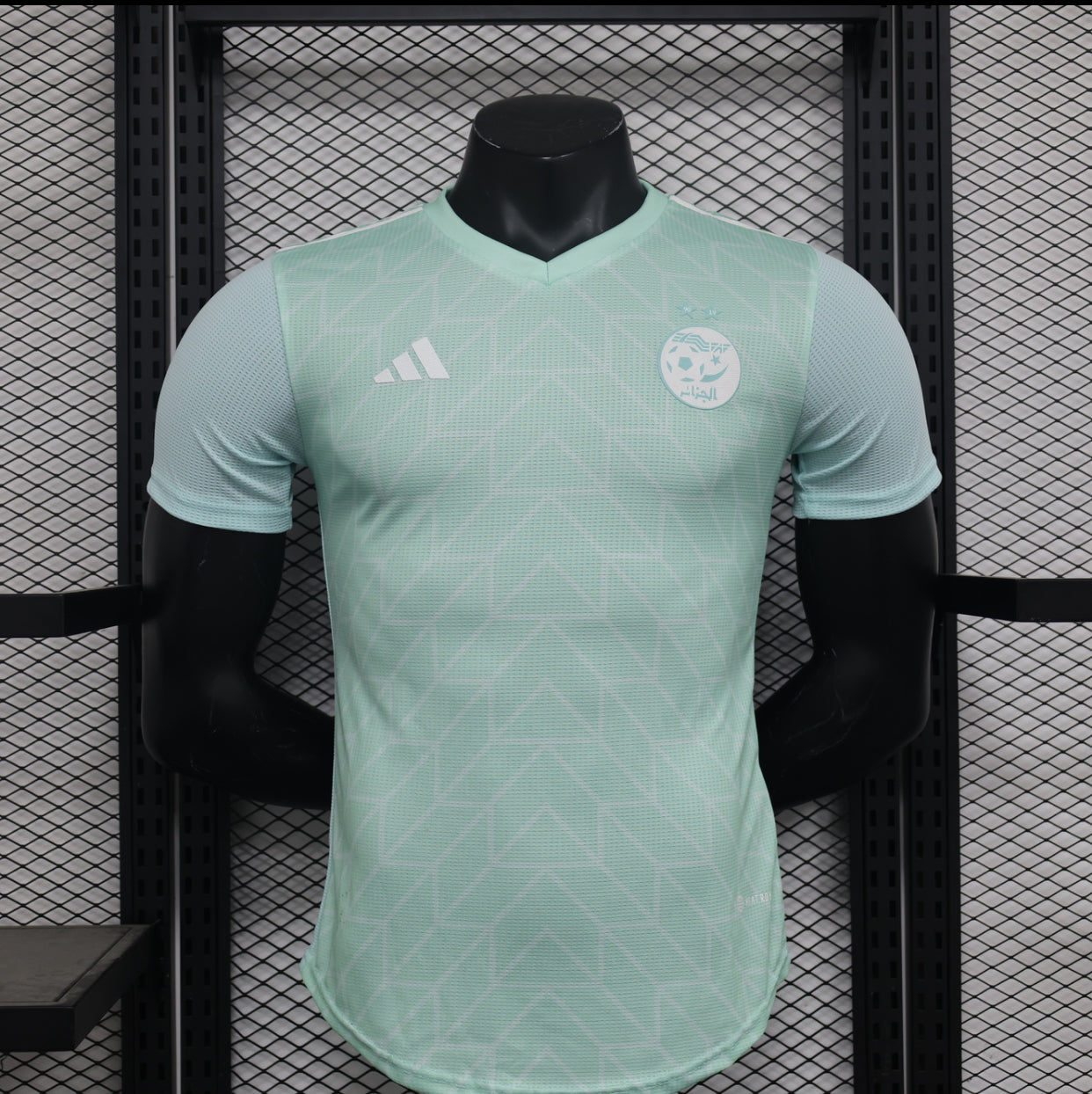 2024/25 Algérie (Player Version)